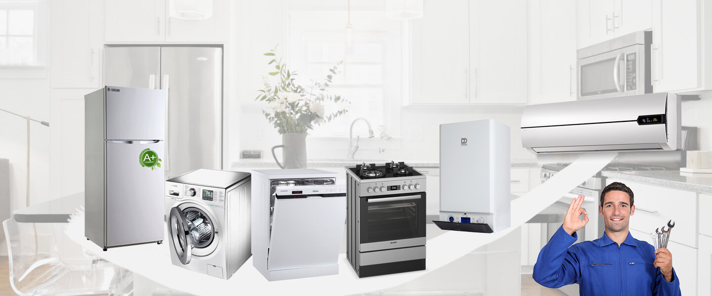 Bayraklı Warmhaus Servisi